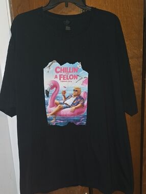 Gildan Black Tee with Pink Flamingo "Chillin Like A Felon" Graphic